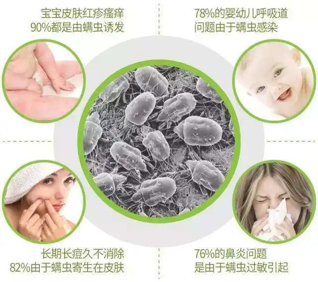 被子不方便曬怎么除螨？曬被子需要曬兩面嗎？